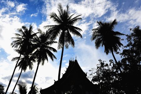 silhouette  temple and coconut tree on blue skyの写真素材