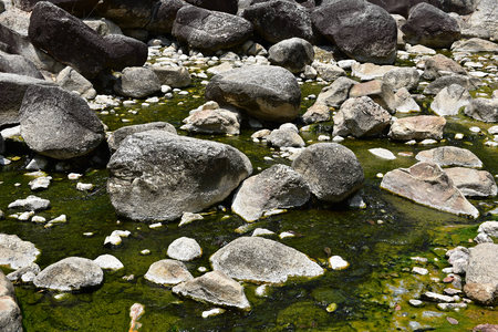 hot spring in forestの写真素材