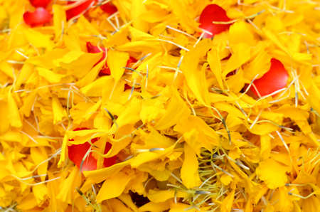 Yellow flower wall texture background