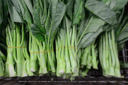 Chinese Broccoli Vegetables in basket at market