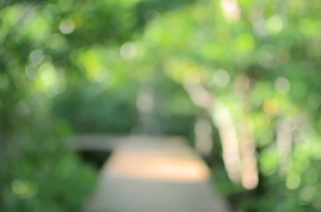 Blur walking way in green nature park abstract background.の写真素材