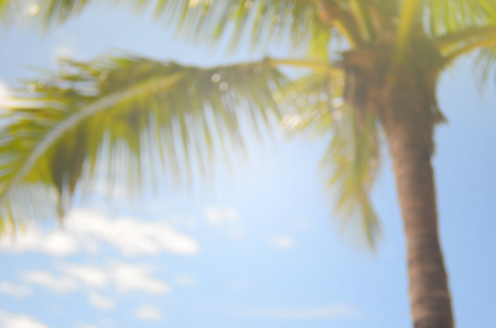 blur tropical beach with palm leaf abstract backgroundの写真素材