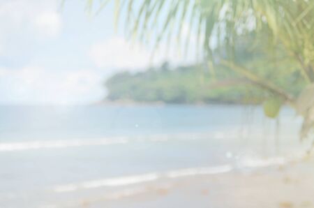 lurred tropical beach and palm leaf abstract background.Travel concept.の写真素材