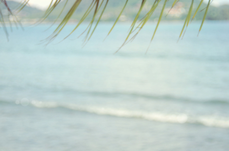 blur tropical beach with palm leaf abstract backgroundの写真素材