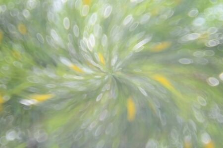 Bokeh sun light leaf nature abstract background.Retro color styleの写真素材