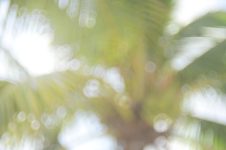 Bokeh sun light leaf nature abstract background.Retro color styleの写真素材