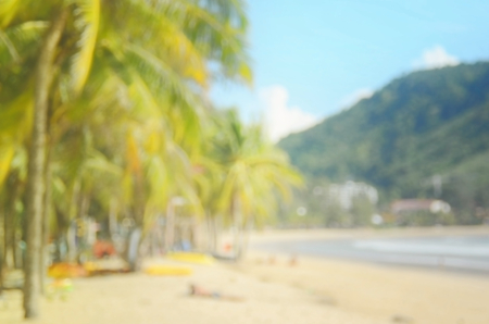 blur tropical beach with palm leaf abstract backgroundの写真素材