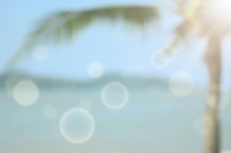 blur tropical beach with palm leaf abstract backgroundの写真素材