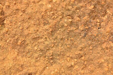 Close up soil pattern texture background.の写真素材