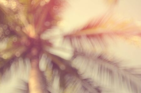 blur tropical palm tree with bokeh sun light abstract background.Retro color style.の写真素材