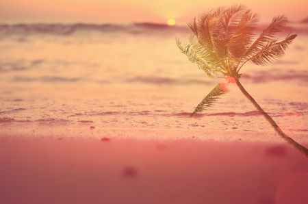 Blur tropical sunset beach with palm tree abstract background.Travel concept.の写真素材