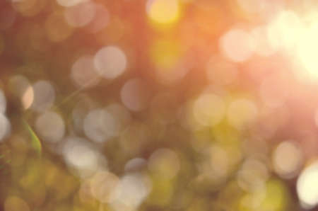Nature autumn leaf with bokeh sun light abstract background.の写真素材
