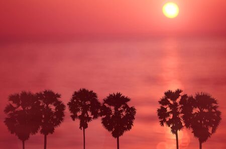 Blur palm tree on tropical sunset beach abstract background. Travel concept. Retro color style.の写真素材