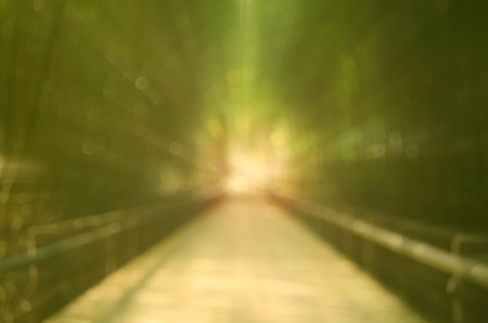 Blur walking road in nature park abstract background.Retro color style.の写真素材