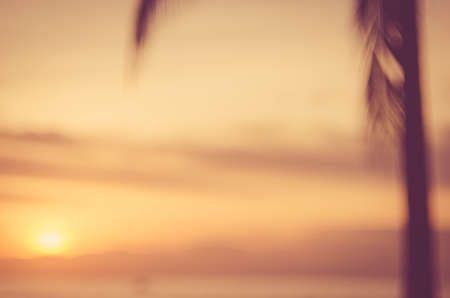 Blur palm tree on tropical sunset beach abstract background. Travel concept. Retro color style.の写真素材