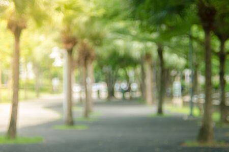 Blur nature green park abstract background.の写真素材