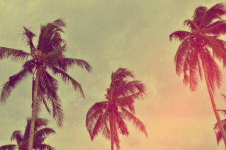 Blur nature bokeh sun light palm leaf abstract background. Retro color style.の写真素材