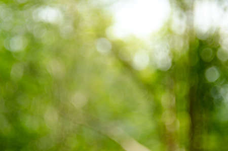 Nature bokeh sun light abstract background.の写真素材