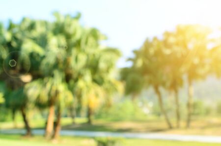 Blur nature green park abstract background.の写真素材