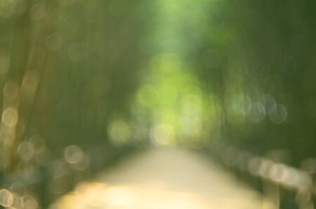 Blur nature green park abstract background.の写真素材