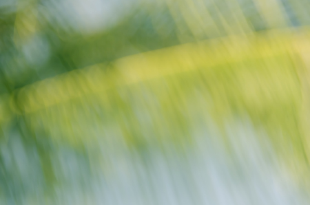 Copy space of nature green bokeh sun light flare and blur palm leaf abstract texture background. Ecology and environment concept. Vintage tone filter color style.の写真素材