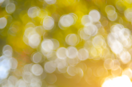 Copy space of nature green bokeh sun light flare and blur leaf abstract texture background. Ecology and environment concept. Vintage tone color style.の写真素材
