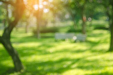 Blur nature green park with sun light copy space abstract background. Travel and environment concept. Vintage tone color style.の写真素材