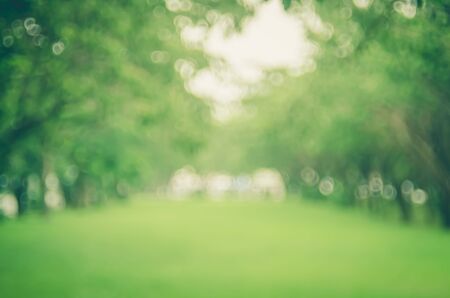 Blur nature green park abstract background. Retro color style.の写真素材