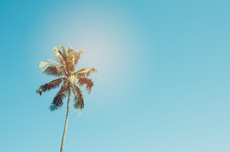 Copy space of tropical palm tree with sun light on sky background. Summer vacation and nature travel concept. Vintage tone filter color style.の写真素材