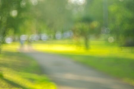 Blur nature green park with sun light abstract background.の写真素材