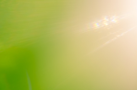 Copy space of tropical nature green bokeh sun light flare and blur leaf abstract texture background. Ecology and environment concept. Vintage tone filter color style.の写真素材