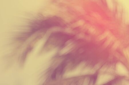 Copy space of blur palm leaf tree on blue sky and white clouds with bokeh sun ligth abstract texture background. Ecology and environment concept. Vintage tone filter color style.の写真素材