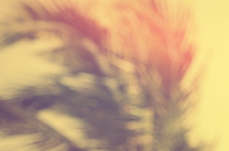 Copy space of nature green bokeh sun light flare and blur palm leaf abstract texture background. Ecology and environment concept. Vintage tone filter color style.の写真素材