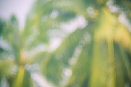 Copy space of blur palm leaf tree on blue sky and white clouds with bokeh sun ligth abstract texture background. Ecology and environment concept. Vintage tone filter color style.の写真素材
