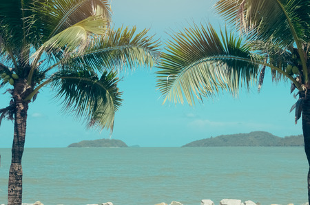 Tropical palm tree on beach and blue sky background. Copy space summer vacation holiday and business travel adventure concept. Vintage tone filter effect color style.の写真素材