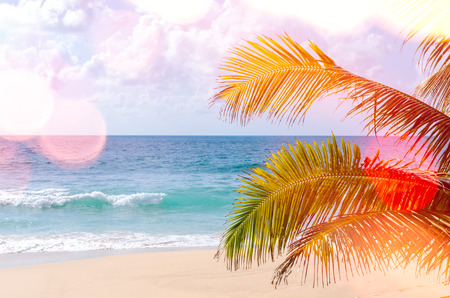 Copy space of tropical palm tree with sun light on blue sky and white cloud double exposure colorful bokeh light abstract background. Summer vacation and nature travel adventure concept. Vintage tone filter effect color style.の写真素材