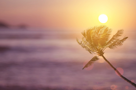 Blur tropical sunset beach with palm tree and bokeh light wave abstract background. Summer vacation and business travel adventure concept. Vintage tone filter effect color style.