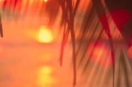 Blur beautiful nature green palm leaf on tropical sunset beach with bokeh light wave abstract background. Copy space of summer vacation and business travel concept. Vintage tone filter color style.の写真素材