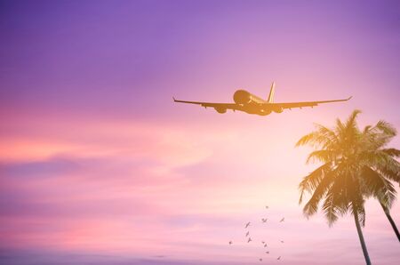 Airplane flying over tropical palm tree and sunset sky abstract background. Copy space of business summer vacation and travel adventure concept. Vintage tone filter effect color style.の写真素材
