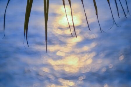 Blur beautiful nature green palm leaf on tropical sunset beach with bokeh light wave abstract background. Copy space of summer vacation and business travel concept. Vintage tone filter color style.の写真素材