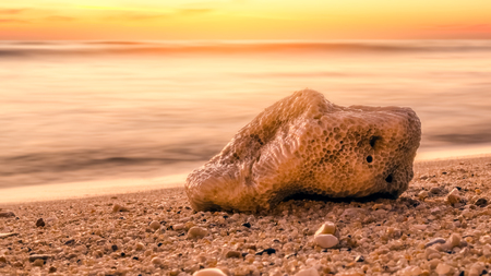 Close up dried coral on sand sunset beach. Shallow depth of field. Travel adventure and summer vacation concept. Retro tone filter effect color style.の写真素材
