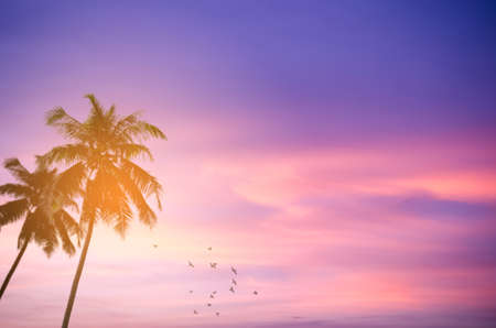 Copy space of silhouette tropical palm tree with sun light on sunset sky and cloud abstract background. Summer vacation and nature travel adventure concept. Vintage tone filter effect color style.の写真素材