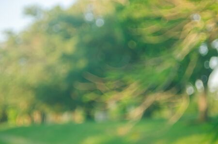 Blur nature green park with bokeh sun light abstract background. Copy space of travel nature adventure and environment ecology concept. Vintage tone filter effect color style.の写真素材
