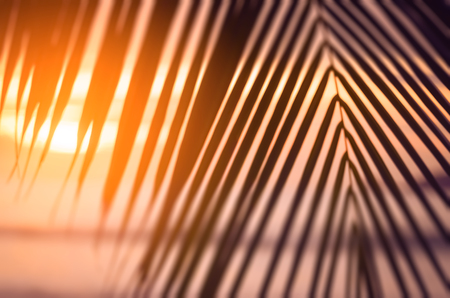 Blur beautiful nature green palm leaf on tropical sunset beach with bokeh sun light wave abstract background. Copy space of summer vacation and business travel concept. Vintage tone filter color styleの写真素材