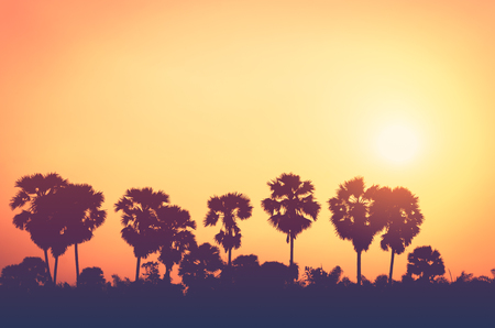 Copy space of silhouette tropical palm tree with sun light on sunset sky and cloud abstract background. Summer vacation and nature travel adventure concept. Vintage tone filter effect color style.の写真素材