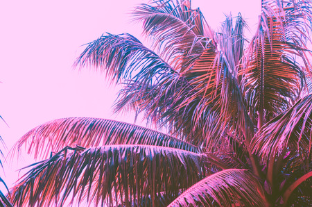 Copy space tropical palm tree with sun light on blue sky and cloud abstract background. Summer vacation and nature travel adventure concept. Vintage tone filter effect color style.の写真素材