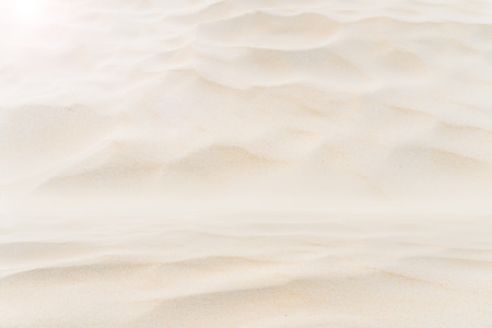 Copy space of sand texture abstract background. Product presentation in nature.の写真素材