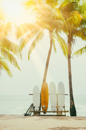 Surfboard and palm tree on beach double exposure with colorful bokeh sunset light texture abstract background. Summer vacation and sport extreme concept. Vintage tone filter color style.の写真素材