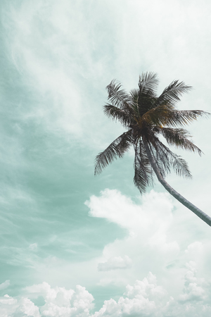 Copy space tropical palm tree with sun light on blue sky and cloud abstract background. Summer vacation and nature travel adventure concept. Vintage tone filter effect color style.の写真素材