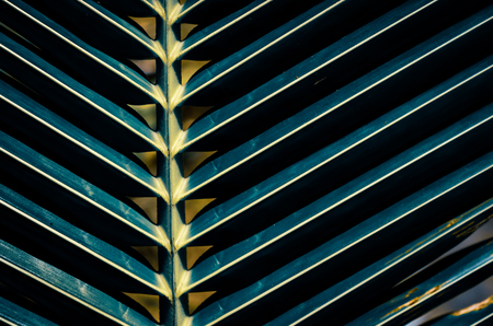 Palm leaf pattern texture abstract background. Vintage tone filter effect color style.の写真素材